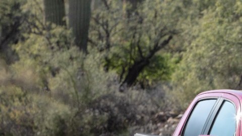 Chevrolet Colorado ZR2 Bison
