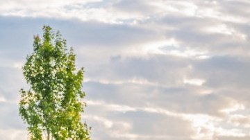 Chevrolet Silverado / Foto Chevrolet