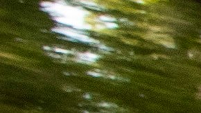 Toyota Prius 2021. / Foto: Cortesía Toyota.