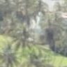 Avatar de Ariel Rodríguez
