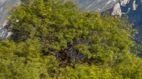 Audi-e-tron-2.jpg October 29, 2020 235 KB 1324 by 744 pixels Edit Image Delete permanently Alt Text Describe the purpose of the image(opens in a new tab). Leave empty if the image is purely decorative.Title Audi e-tron 2 Caption Audi e-tron. / Foto: Cortesía Audi. Description