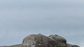 Ford Bronco Sport. / Foto: Cortesía Ford.