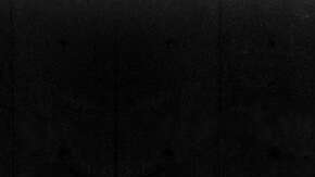 Tesla Cybertruck. / Foto: Cortesía Tesla.