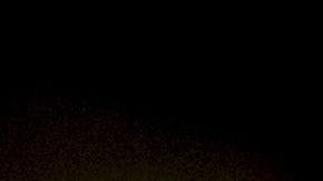 Aleja a los perros de las llantas de tu auto