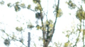 La pintura de un auto no es eterna, sin embargo, sí se puede alargar su vida útil con algunos cuidados frecuentes.