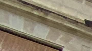 Vehículos eléctricos