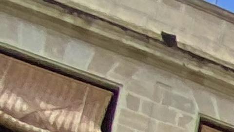 Vehículos eléctricos