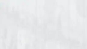 Polestar 2. / Foto: Cortesía Polestar.