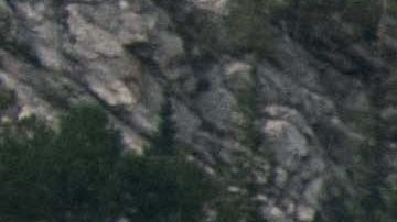 2021 Sorento X-Line / Foto: Kia