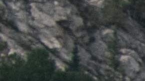 2021 Sorento X-Line / Foto: Kia