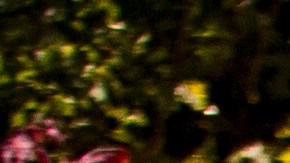 Versa 2021 / Foto: Cortesía Nissan.