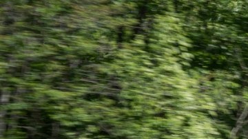 Ford F-150 / Foto: Ford