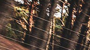 Ford F-150 Lariat Luxury. / Foto: Cortesía Ford.