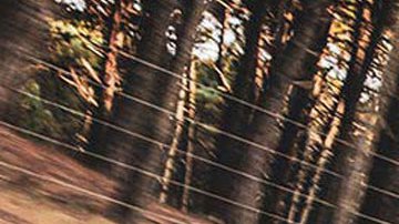 Ford F-150 Lariat Luxury. / Foto: Cortesía Ford.