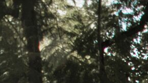 Porsche Taycan Turbo S