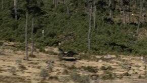 Chevrolet Silverado / Foto: Cortesía Chevrolet.