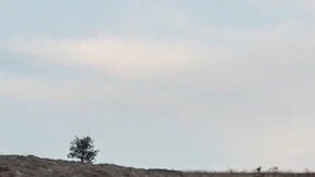 Chevrolet Silverado 2020. / Foto: Cortesía Chevrolet.