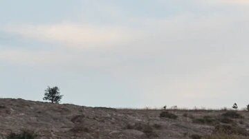 Chevrolet Silverado 2020. / Foto: Cortesía Chevrolet.