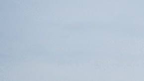 placas digitales para autos michigan