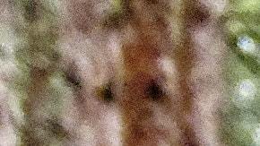 Jeep Wrangler / Foto: Unsplash