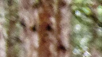 Jeep Wrangler / Foto: Unsplash