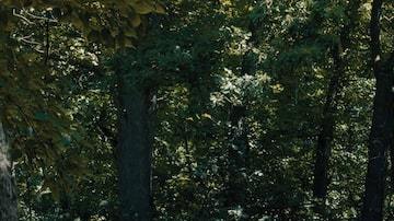 Equinox 2020. / Foto: Cortesía Chevrolet.