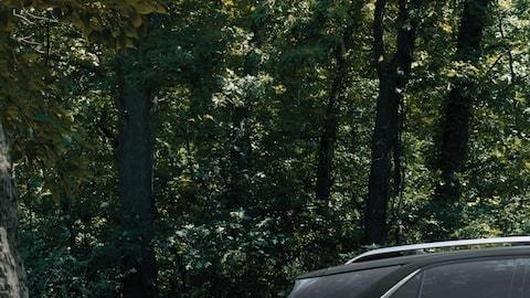 Equinox 2020. / Foto: Cortesía Chevrolet.