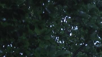 Las curvas pueden hacer que tu auto salga de la carretera si no se toman a la velocidad adecuada.