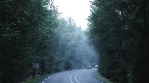 Las curvas pueden hacer que tu auto salga de la carretera si no se toman a la velocidad adecuada.