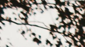 Niebla / Foto: Unsplash