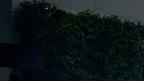 Ford Mustang Mach-E.