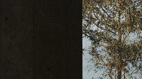 Porsche Carrera GT. / Foto: Cortesía Porsche.