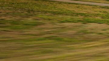 Chevrolet Camaro ZL1. / Foto: Cortesía Chevrolet.