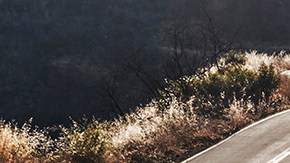 Mazda 3 Turbo. / Foto: Cortesía Mazda.