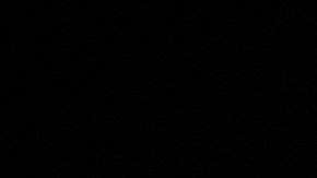 Acura MDX 2022 / Foto: Acura