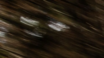 Mercedes-Benz AMG GT 63. / Foto: Cortesía Mercedes-Benz.