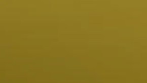 Challenger Gold Rush / Foto: FCA