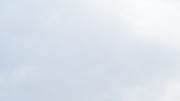 comprar autos en costco