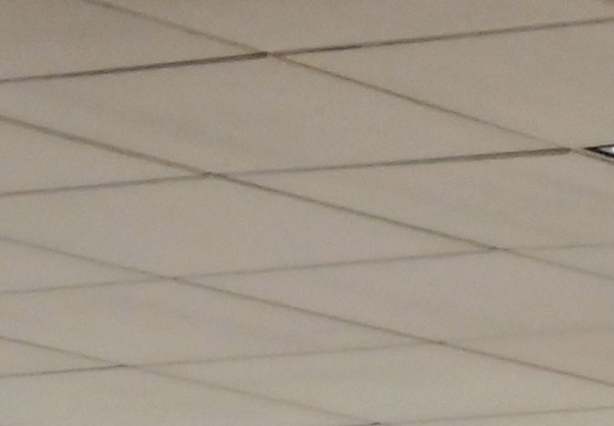 como sacar la licencia de conducir en estados unidos indocumentados