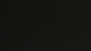 Obtén tu licencia de conducir en el teléfono móvil en California