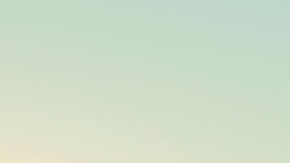 Mustang Mach-E GT Performance Edition. / Foto: Cortesía Ford.