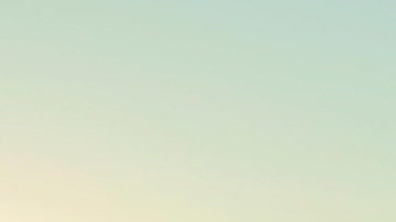 Mustang Mach-E GT Performance Edition. / Foto: Cortesía Ford.