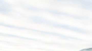 F-150 2021 / Foto: Ford