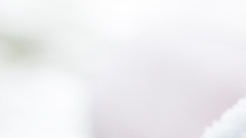 Nunca intentes raspar con un objeto metálico el cristal de tu auto, podrías generar un gran daño.