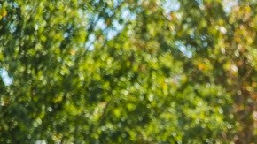 abogados de accidentes