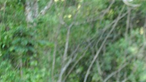 Si tienes un accidente de auto, recuerda que lo primero que debes hacer es poner a salvo tu vida y la de tus acompañantes.