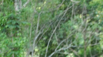 Si tienes un accidente de auto, recuerda que lo primero que debes hacer es poner a salvo tu vida y la de tus acompañantes.