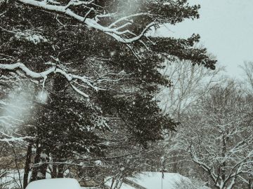 Foto: Unsplash