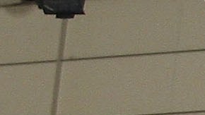 El autoshow de Japón, es el primer evento de 2021 que se cancela por la pandemia.