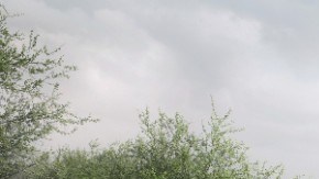 Expedition / Foto: Ford